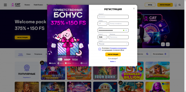 Скрипт Cat казино Скрипт Cat казино